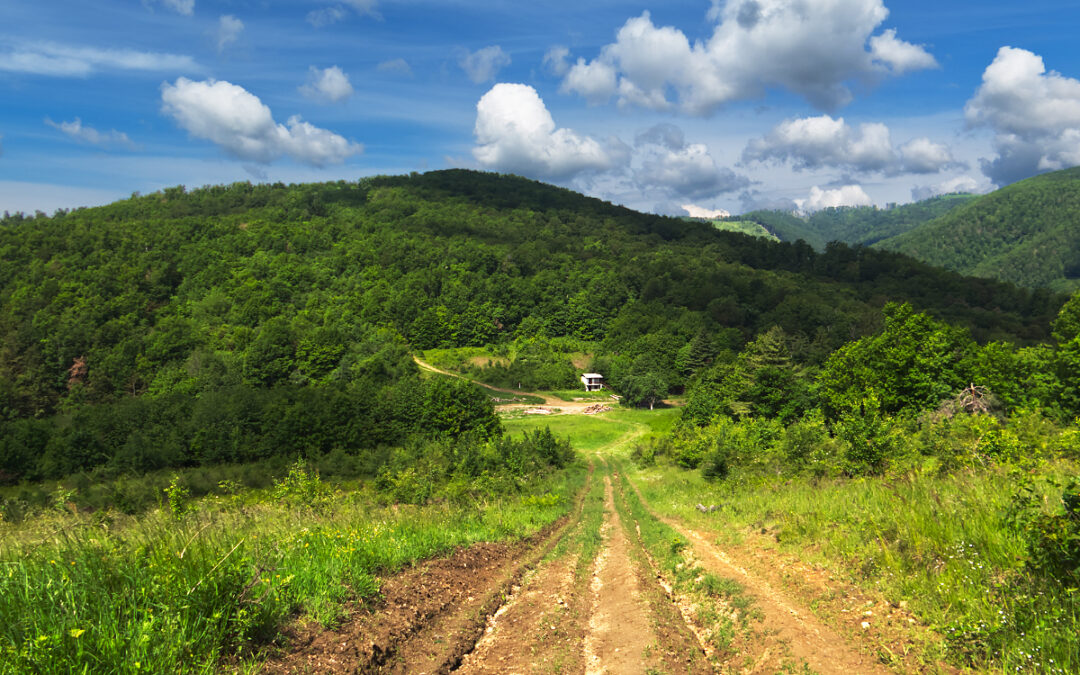 Učeničko pješačenje planinarskom stazom „Predola – Strmac“