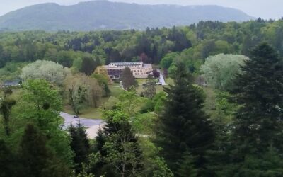 Jednodnevni izlet učenika u dvorac Trakošćan i Terme Tuhelj